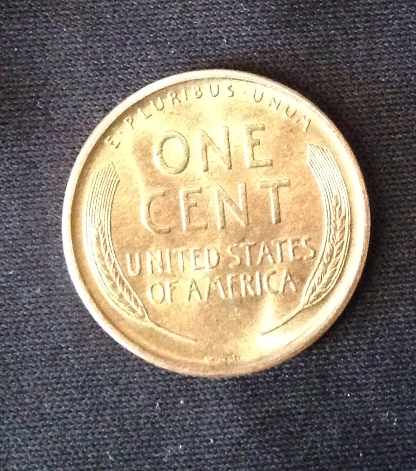 enlarged 3.jpg