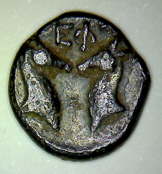 EPHESOS 4375 REVC.jpg