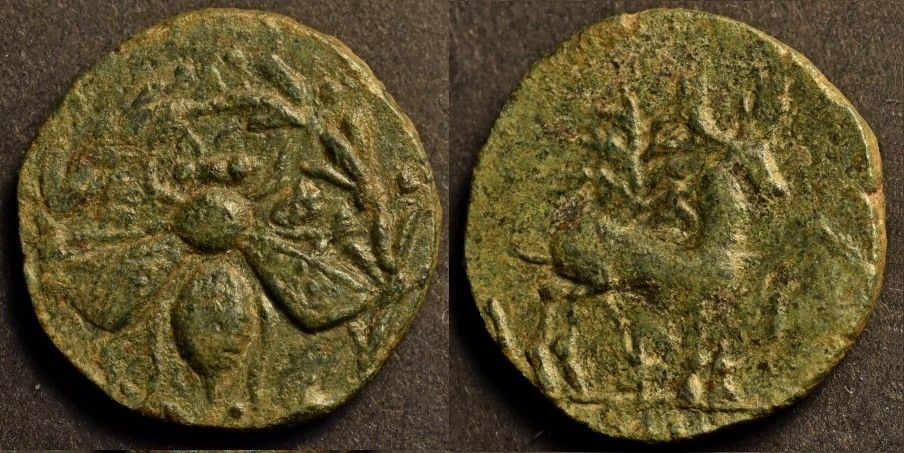 Ephesos AE19 Bee & Stag.jpg