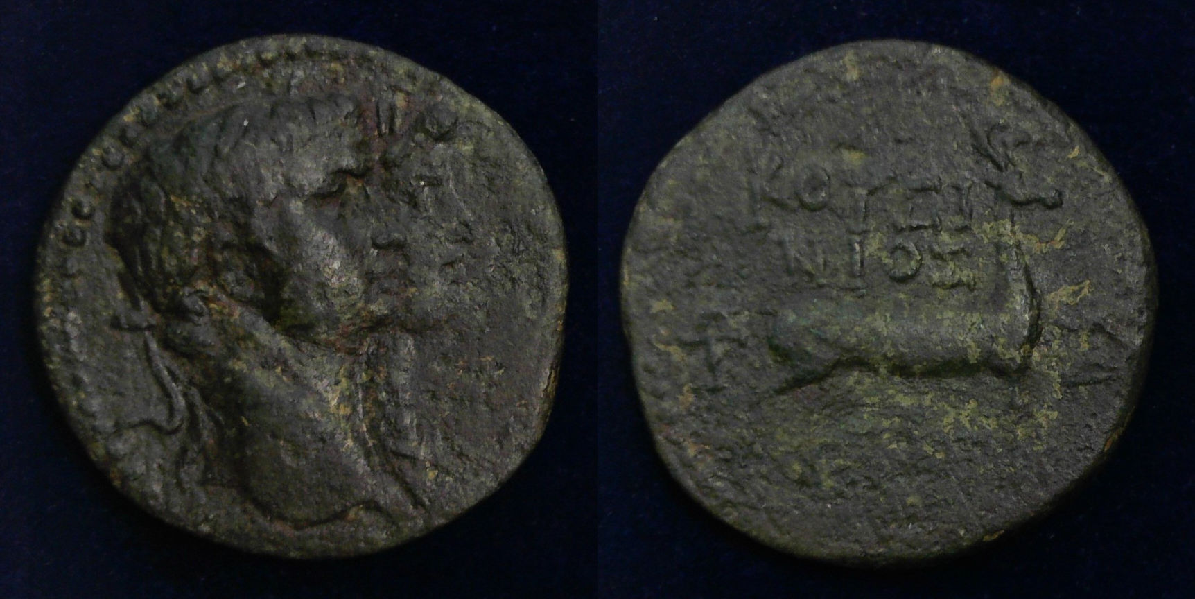 Ephesos Claudius Agrippina Blu.jpg