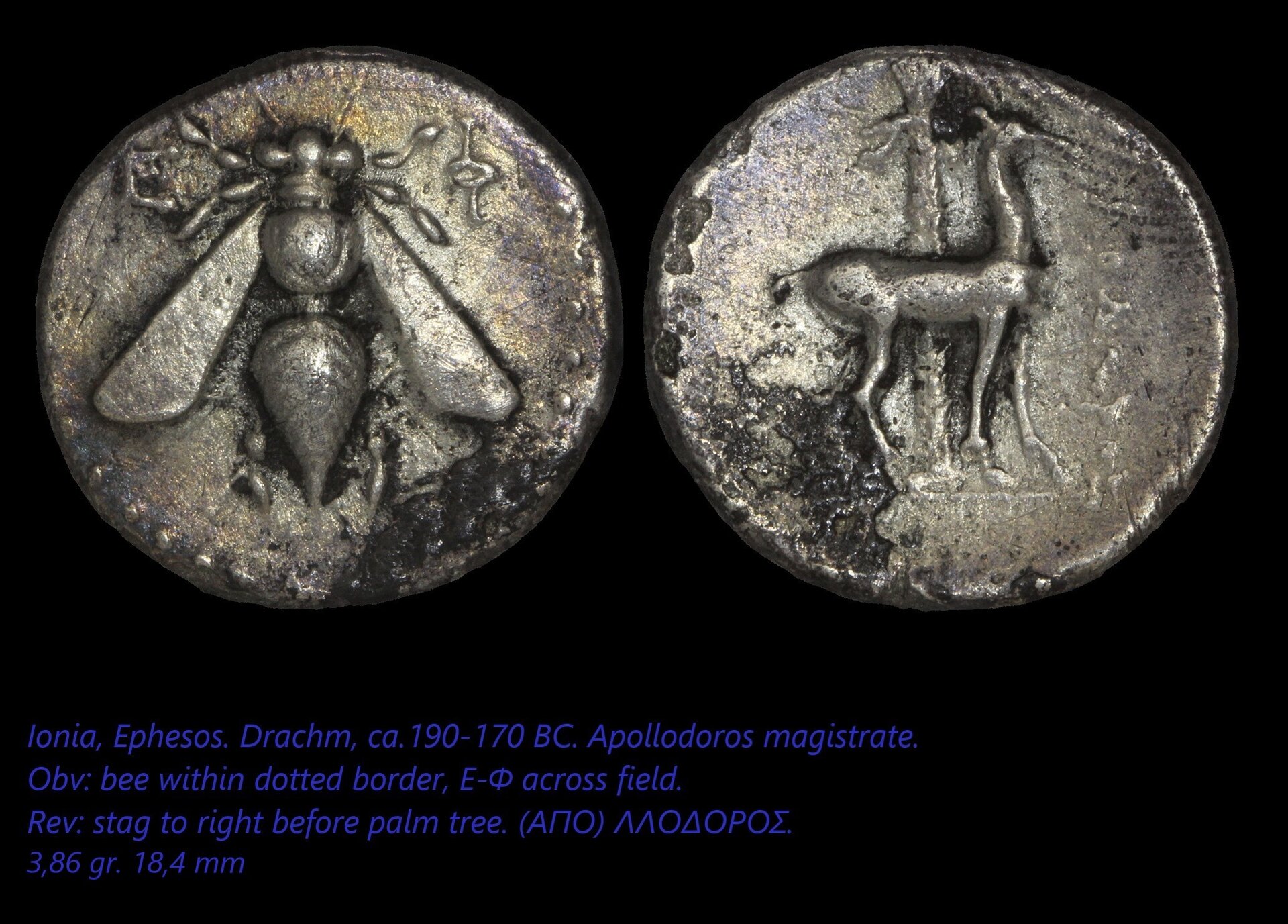 ephesos drachm, bee, stag.jpg