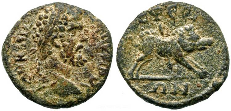 ephesos_sept_severus_unbekannt_Eber.jpg