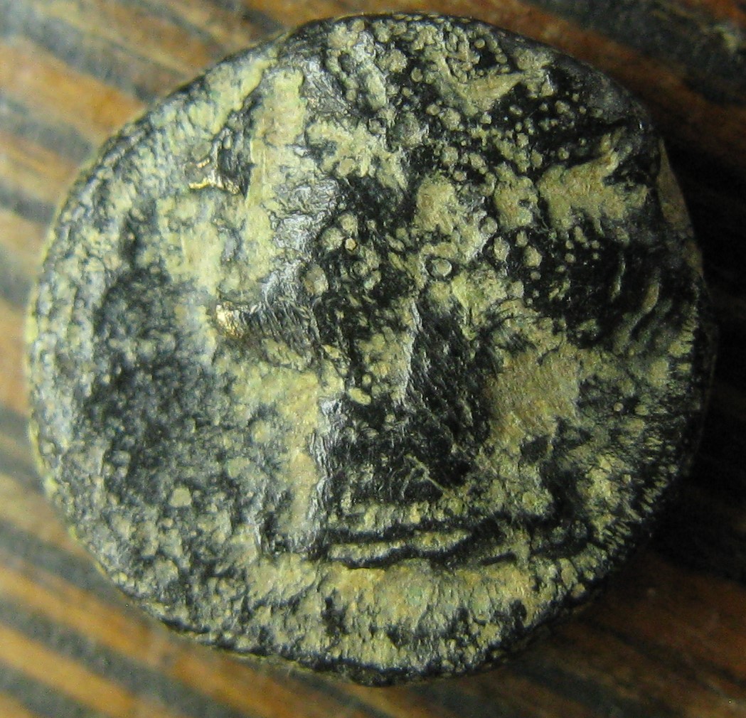 Ephesus AE 10mm turretted head left.jpg