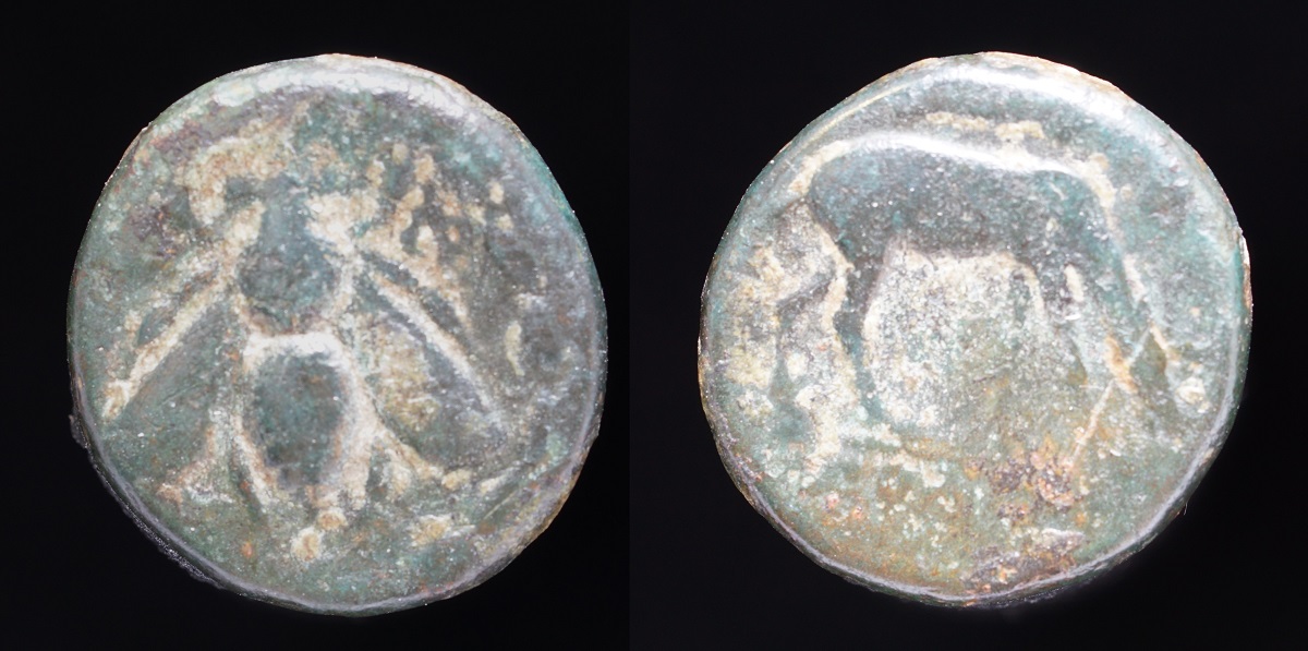 Ephesus AE1 Bee.jpg