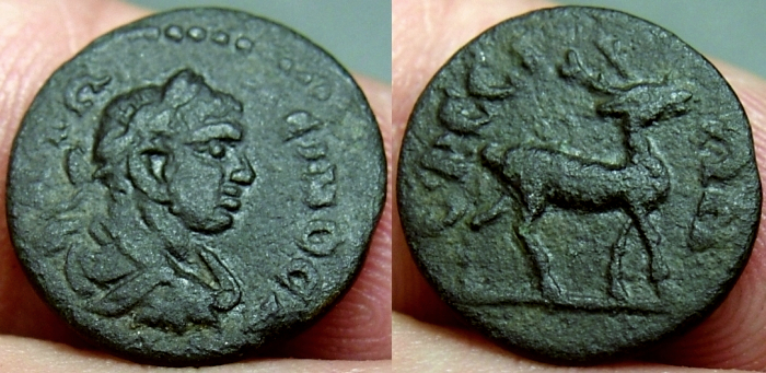 Ephesus2.jpg