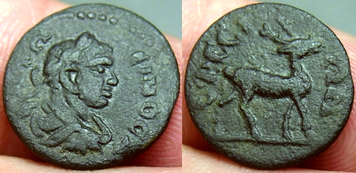 Ephesus2.jpg