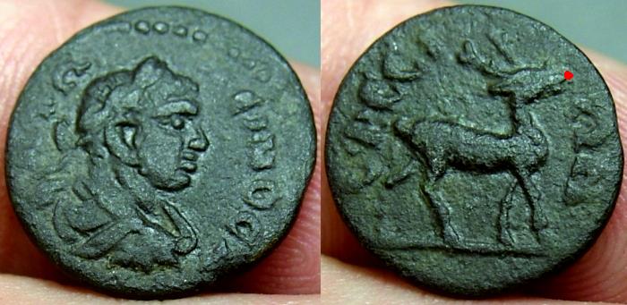 Ephesus2.jpg