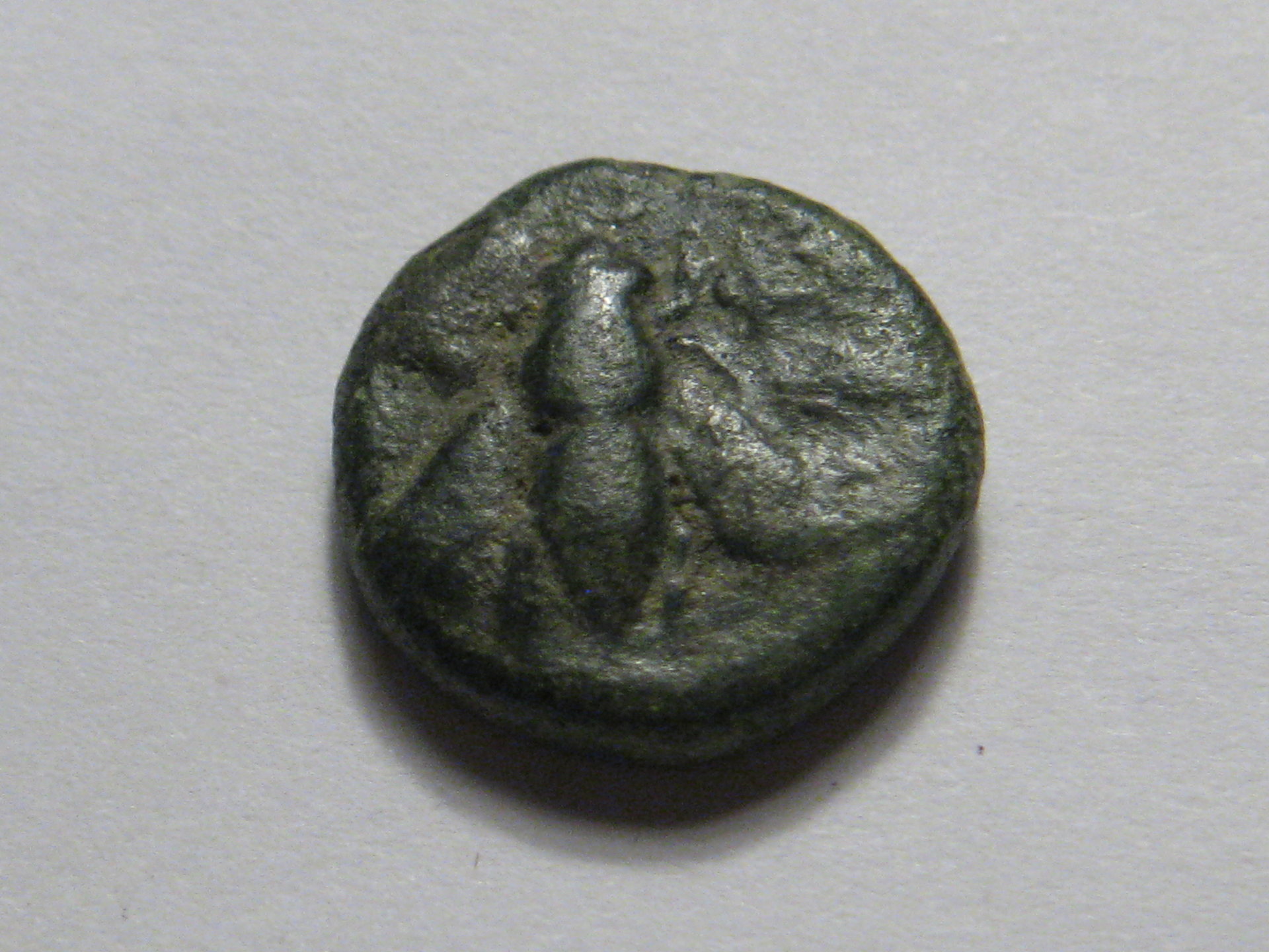 epheus bee coin julia domna denarius 001.JPG