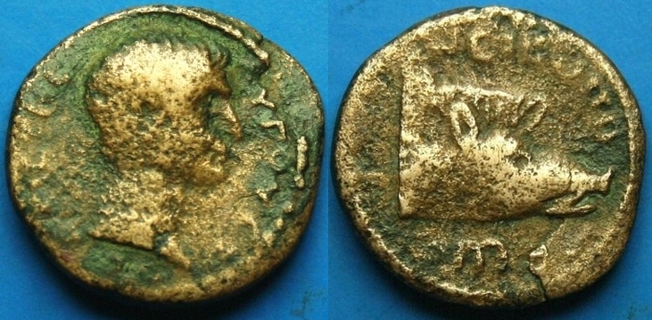 EpirusAugustus3.jpg