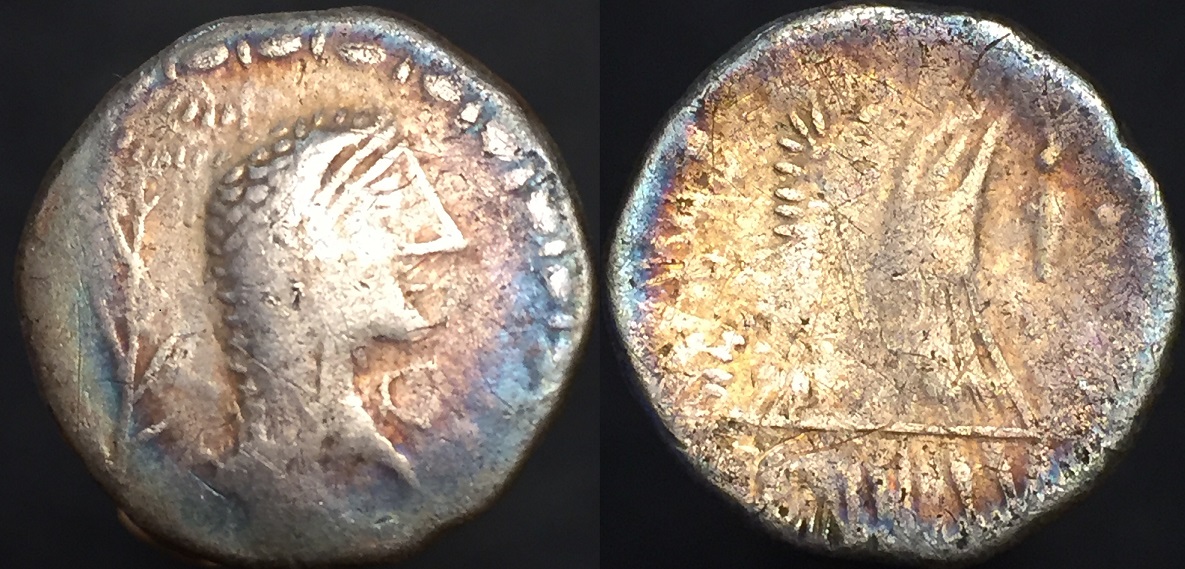 Eravisciii.jpg