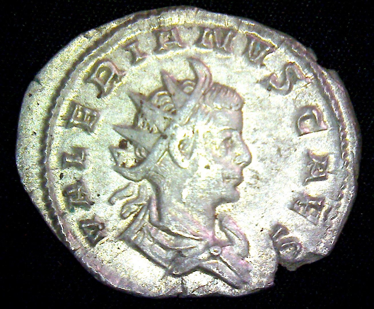 ESSA-439 OBVB1.jpg