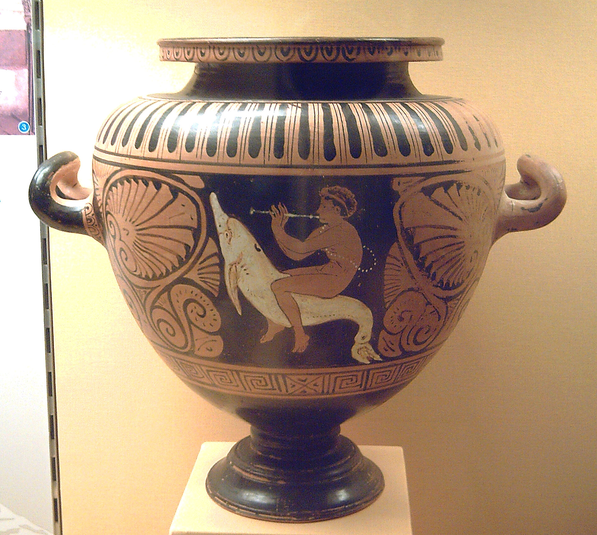 Estamno_de_Etruria_(M.A.N._Madrid)_01.jpg