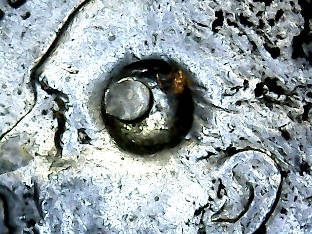 et1965p-1-1.jpg