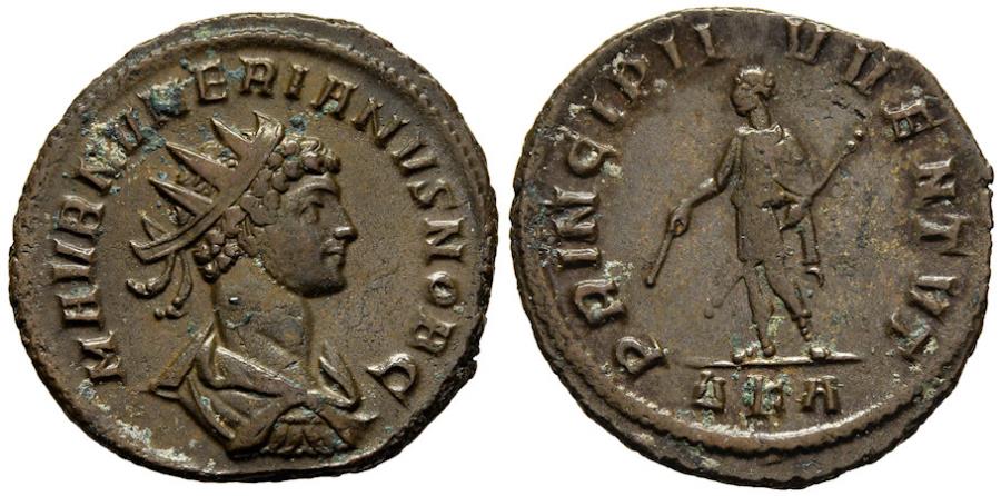 eT3374QrEQm65cJrqJ2AxFa7ke9Hg8.jpg