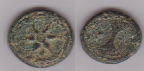Eturia uncia.png