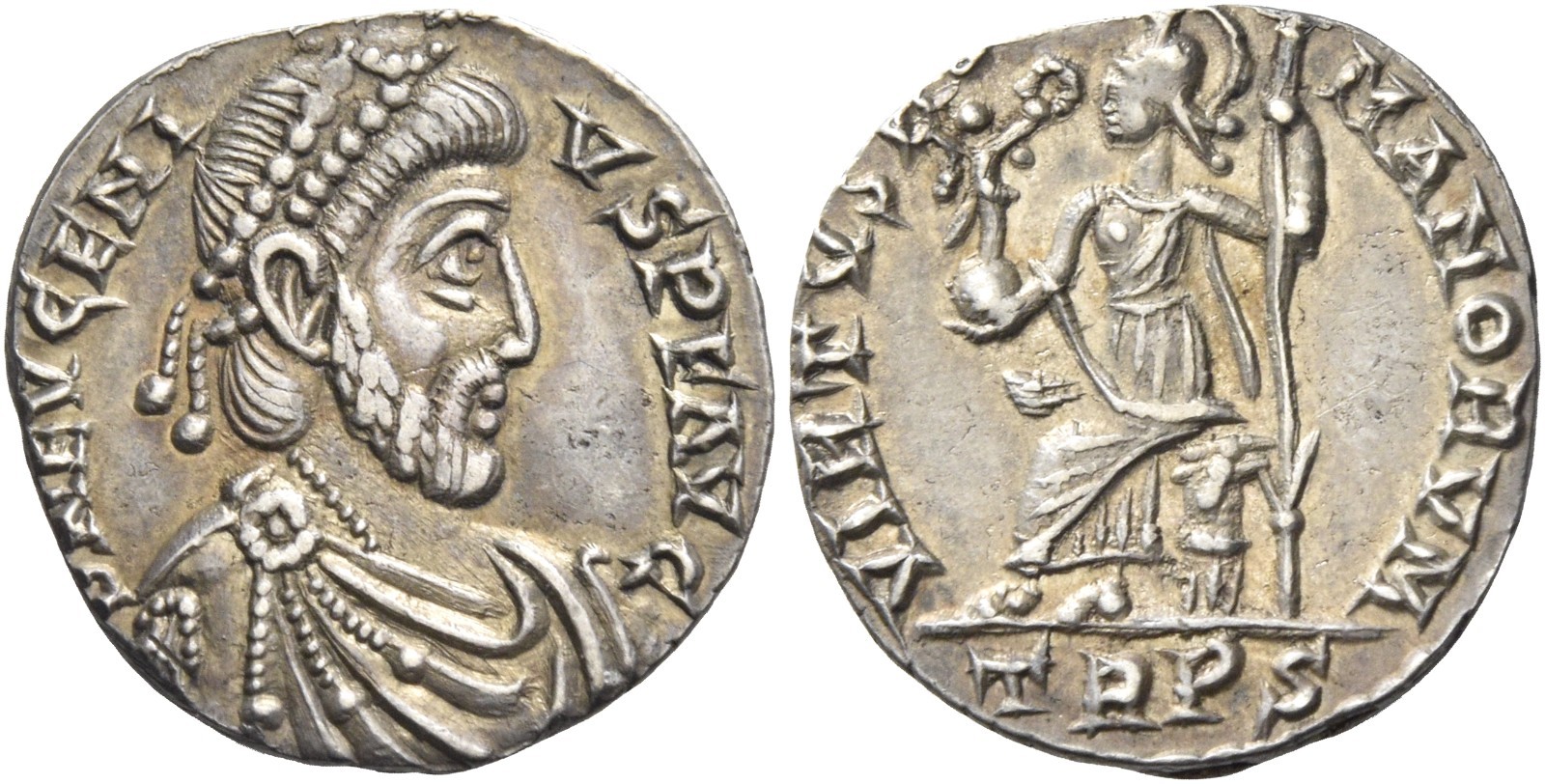 eugenius siliqua.jpeg