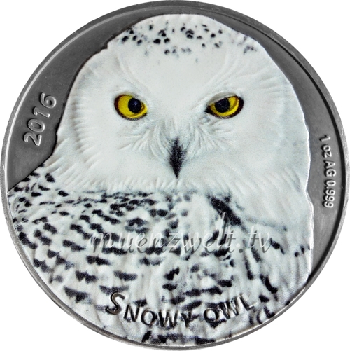 Eule_1oz_WZ__53153.1491603152.jpg