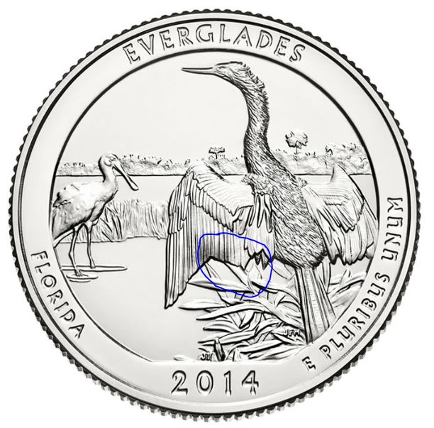 everglades.JPG