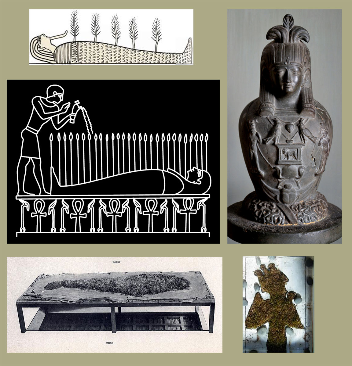 EXAMPLES.jpg