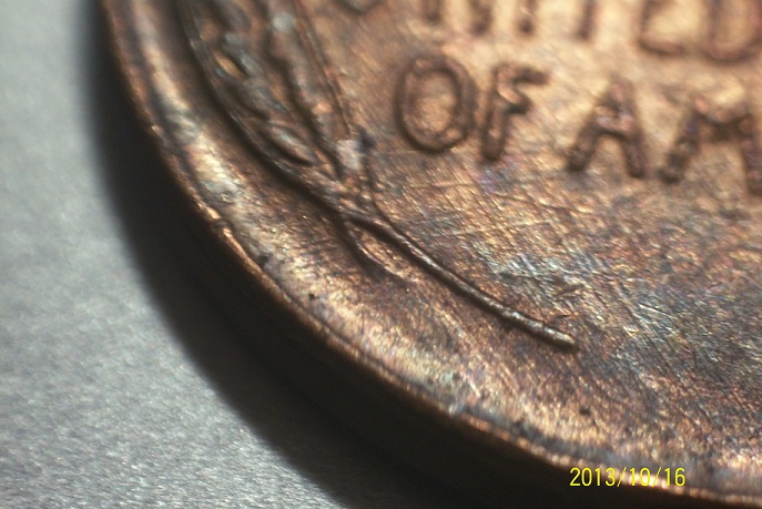 Extra Stem Reverse 2.jpg