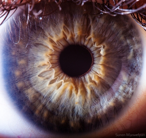 eye ball.jpg