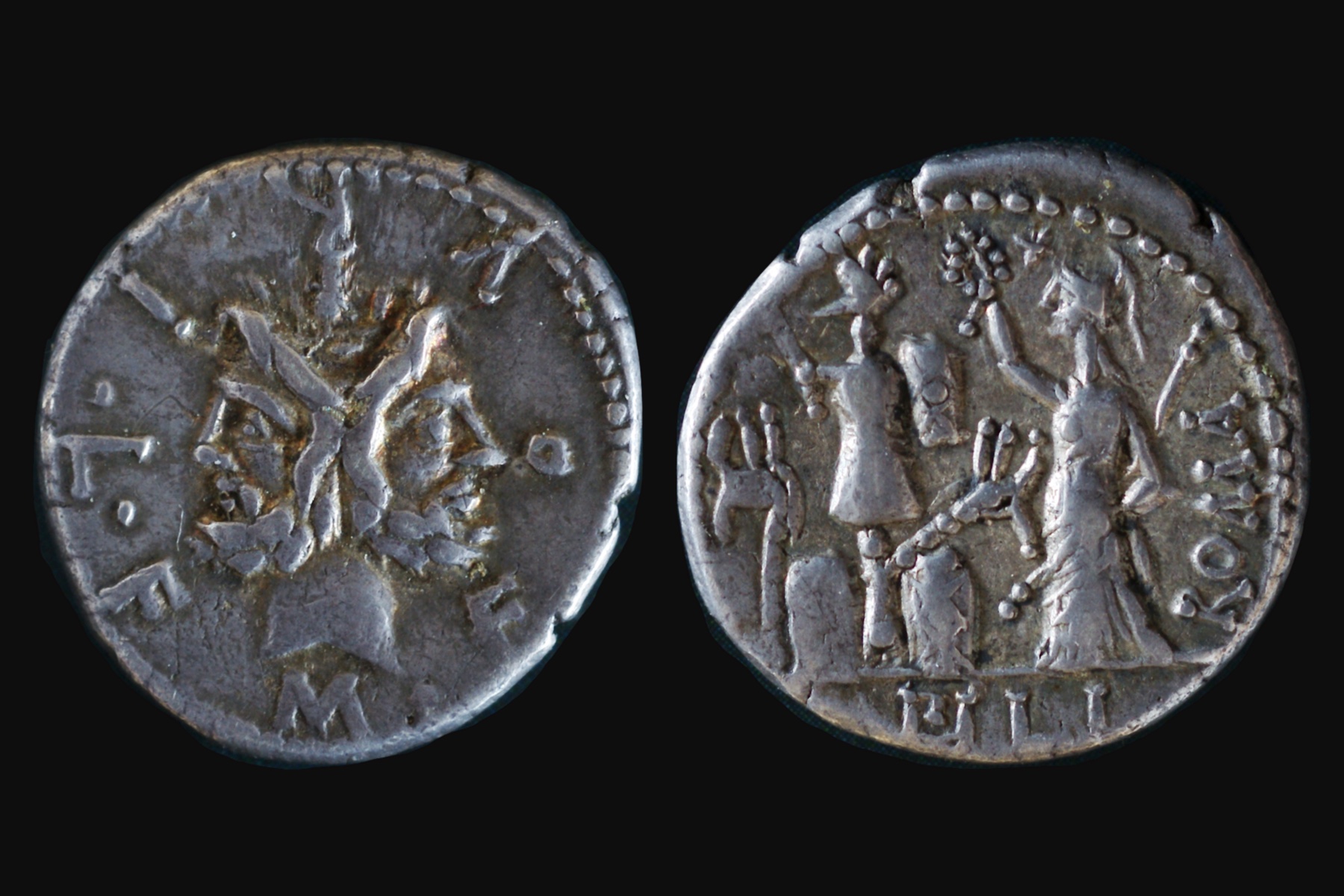 F. Filus.jpg