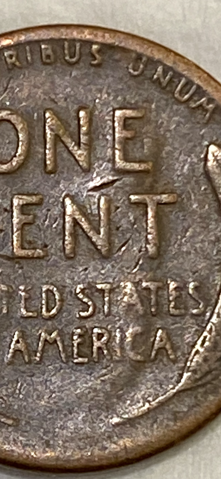 F2AA6732-1954-402F-8213-CCDB760990AD.png