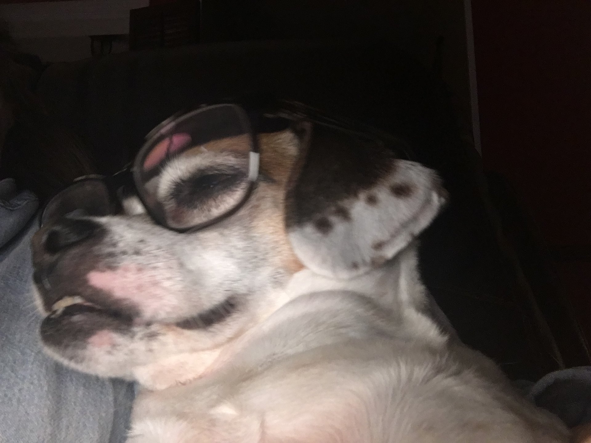 F3484F64-9B1E-4450-ABAA-AF0752B3405D.jpeg