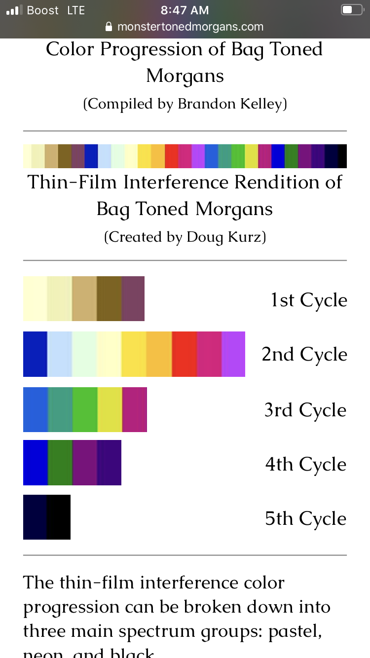 F3E95E29-EE18-4322-898B-E475176E3518.png