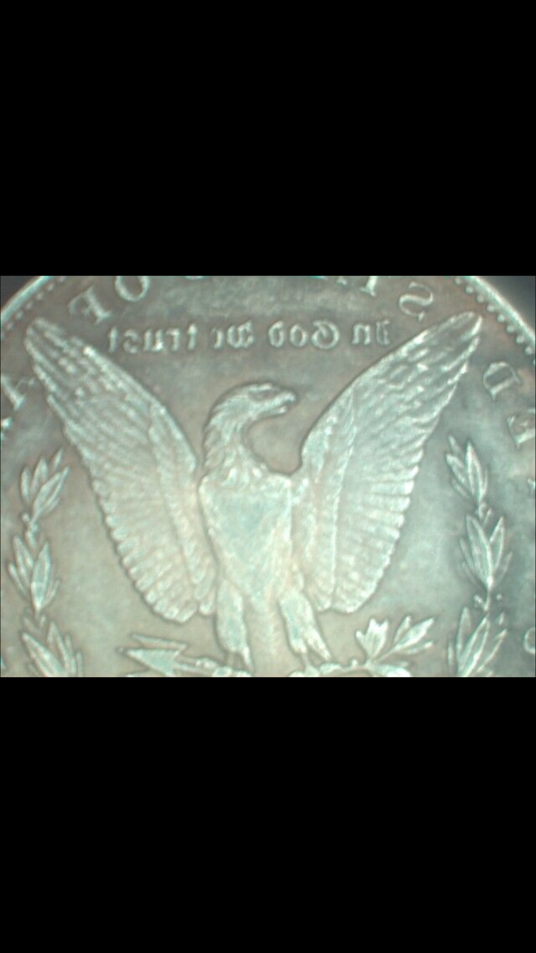 F6F623E7-E7A8-4BD7-863E-DFEF881F6977.png