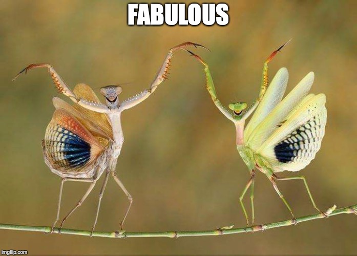 fab.jpg