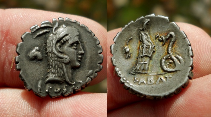 fabatus 7.jpg