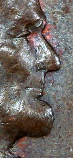face.JPG
