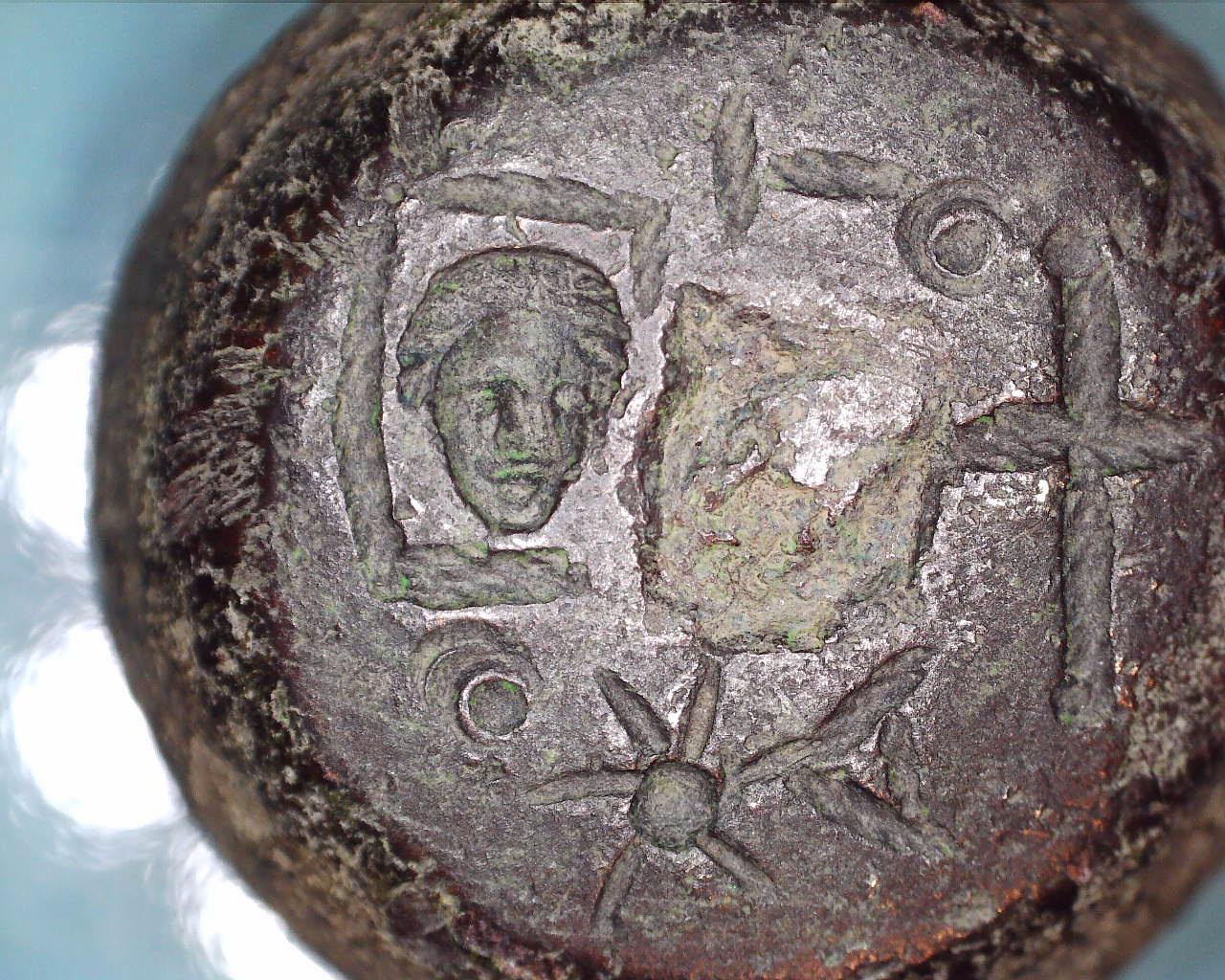 face weight close up celestron.jpg