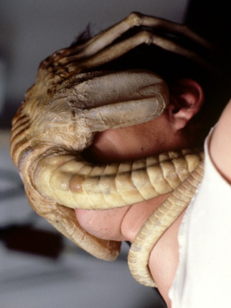 facehugger.jpg