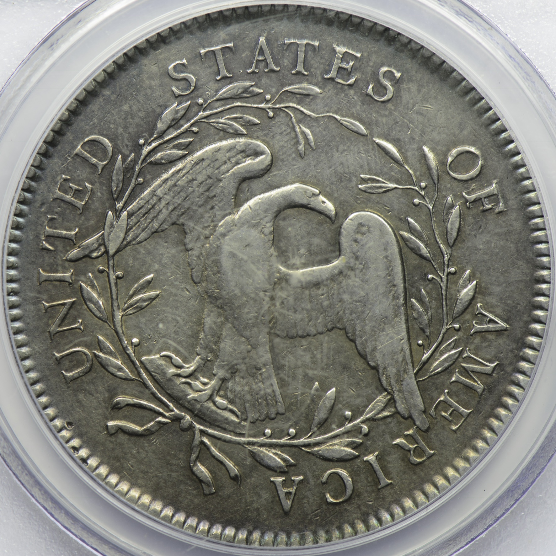 FAF150AD-72DC-4829-9DD4-600806E76652.jpeg
