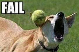 fail 5a.jpg