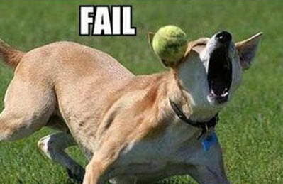 fail x6.jpg