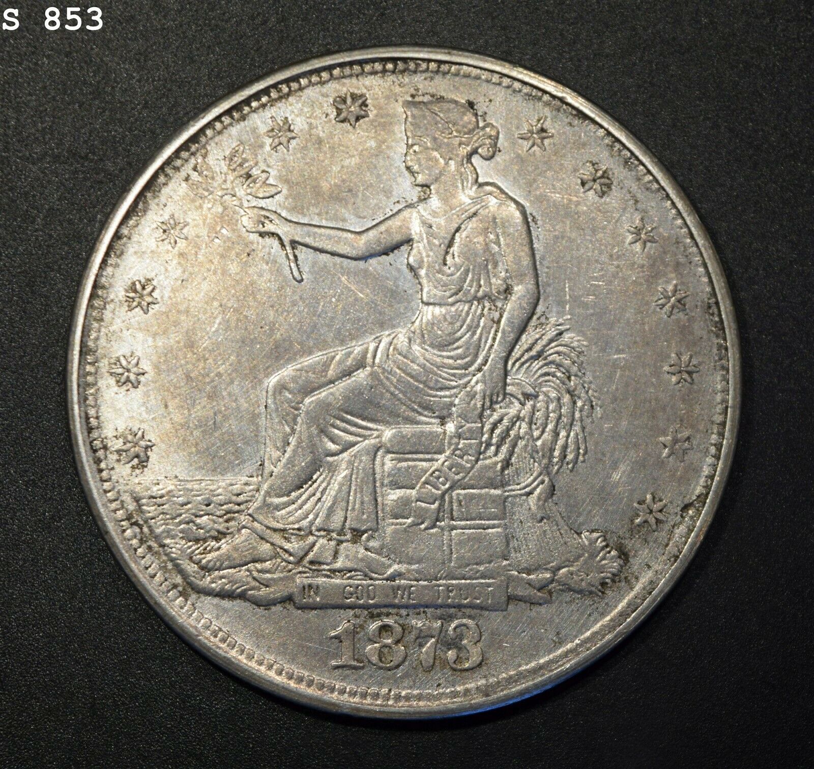 fake 1873 cc ebay obv.jpg
