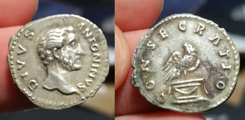 Fake Antoninus Probable.png