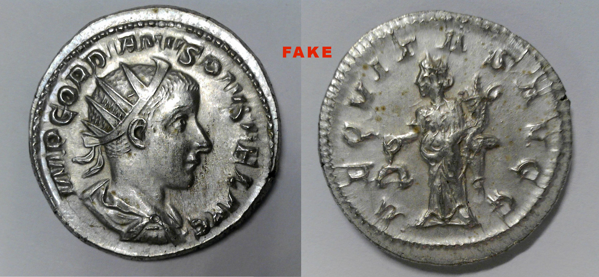 Fake Gordianus.jpg