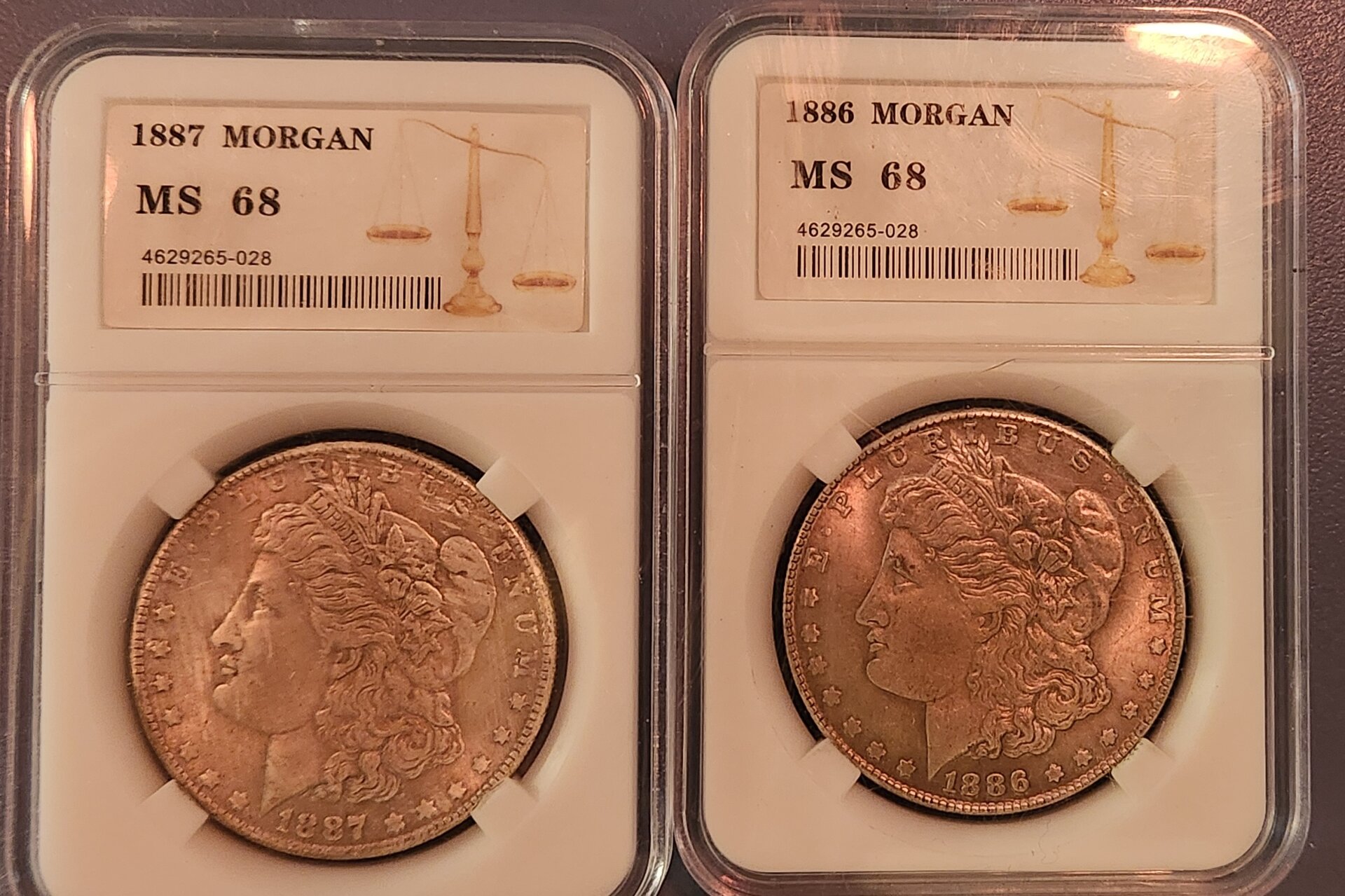 fake morgans.jpg