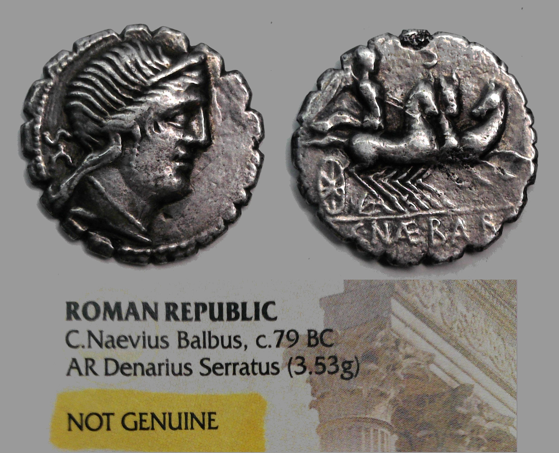 Fake Naevius.jpg