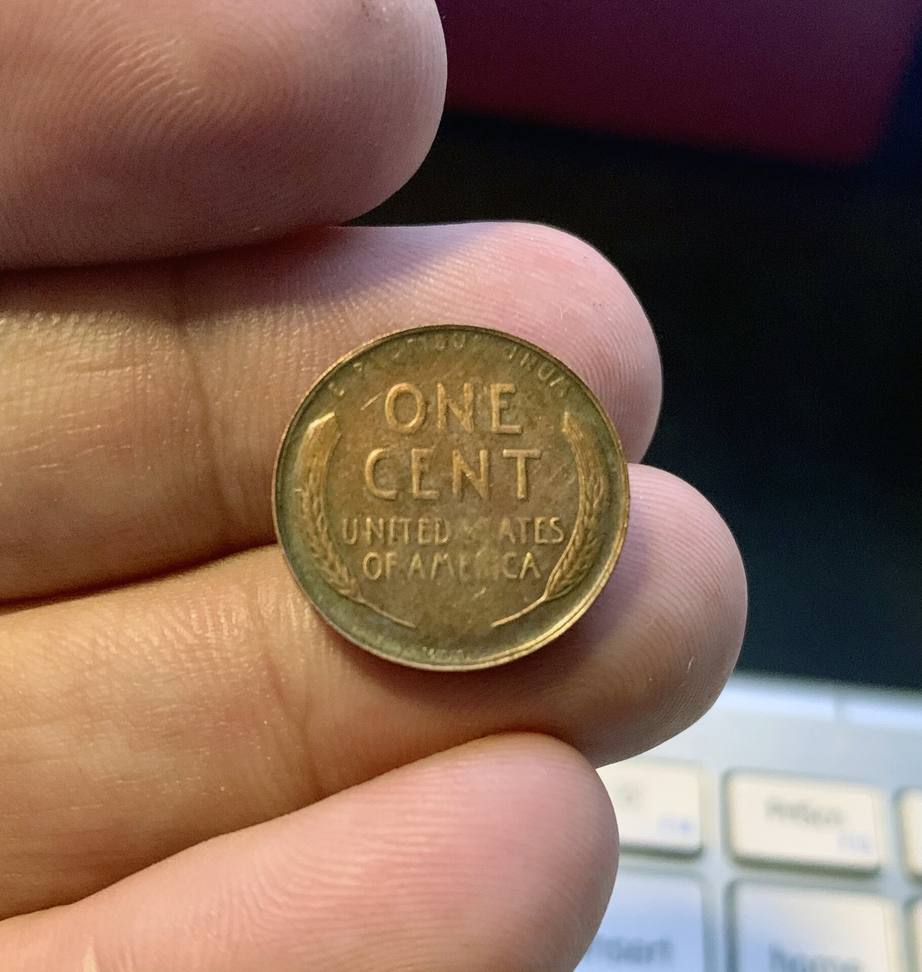 Fake09sVDB-reverse.jpg