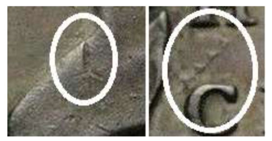 fake4.jpg