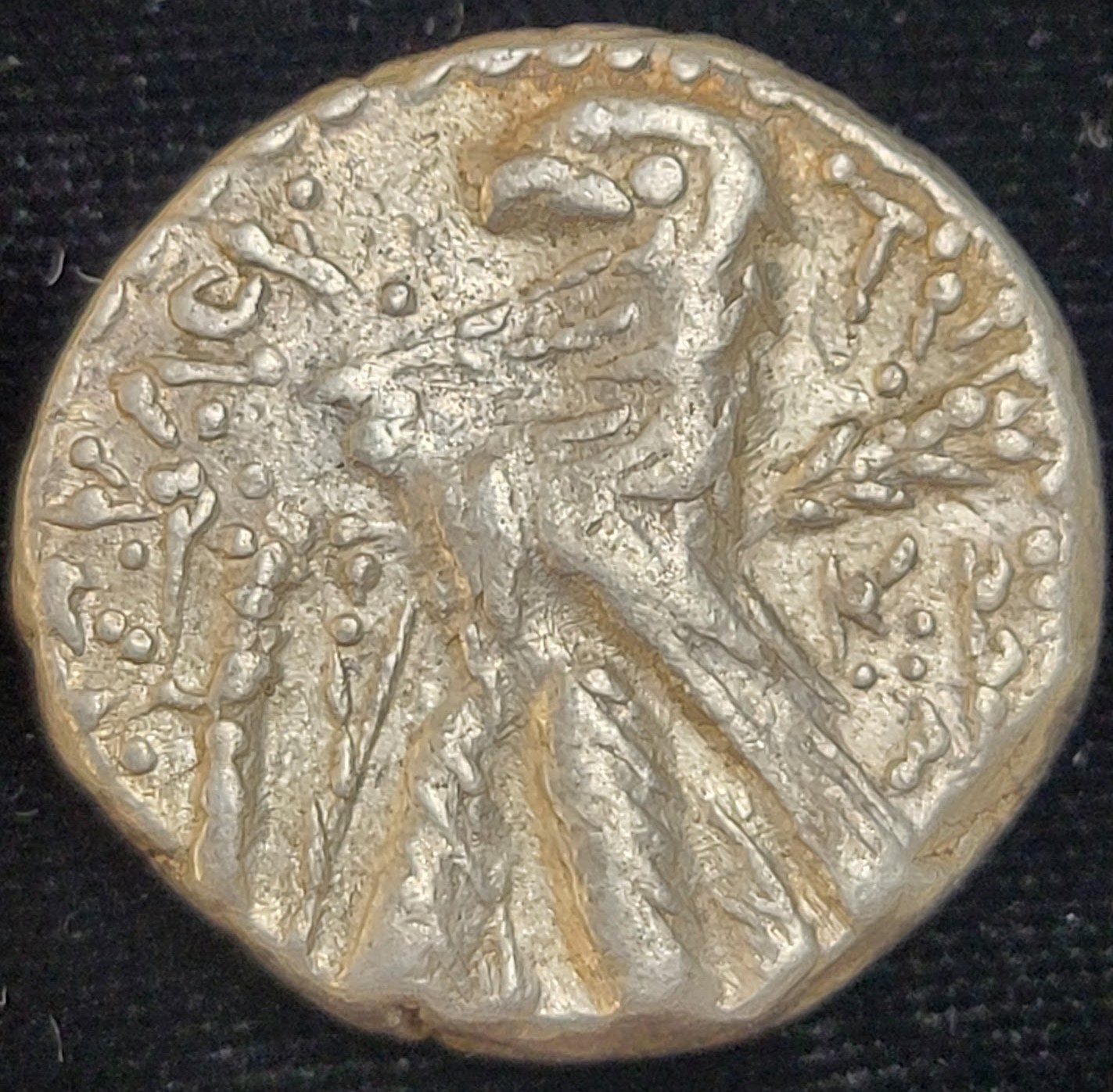 Falcone Shekel.jpeg