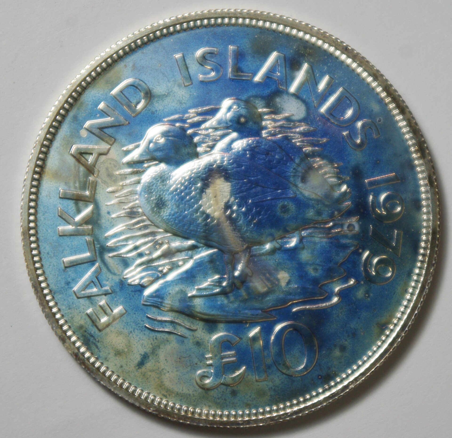 Falklands £10 1979 1.JPG
