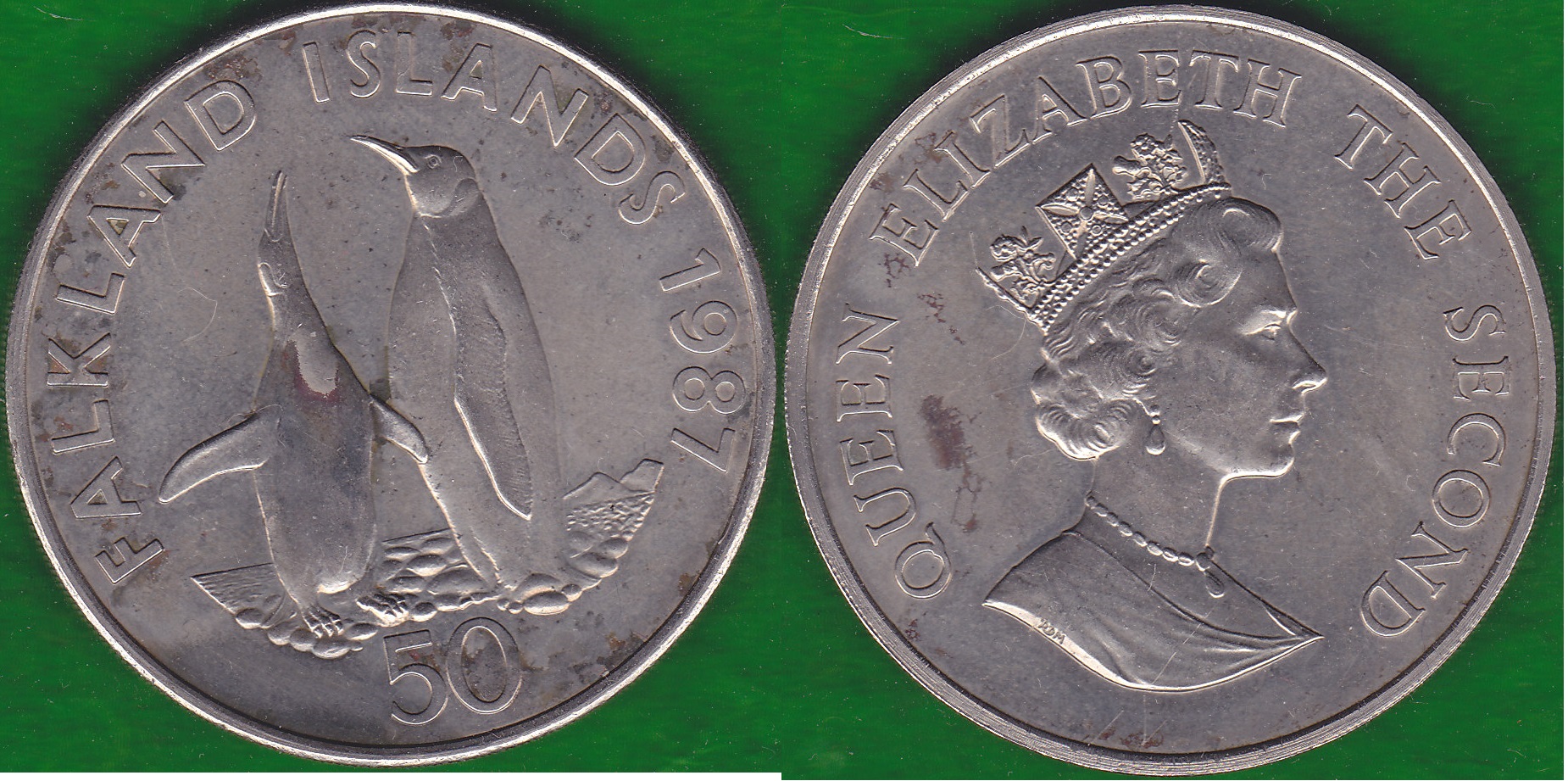 Falklands 50.jpg