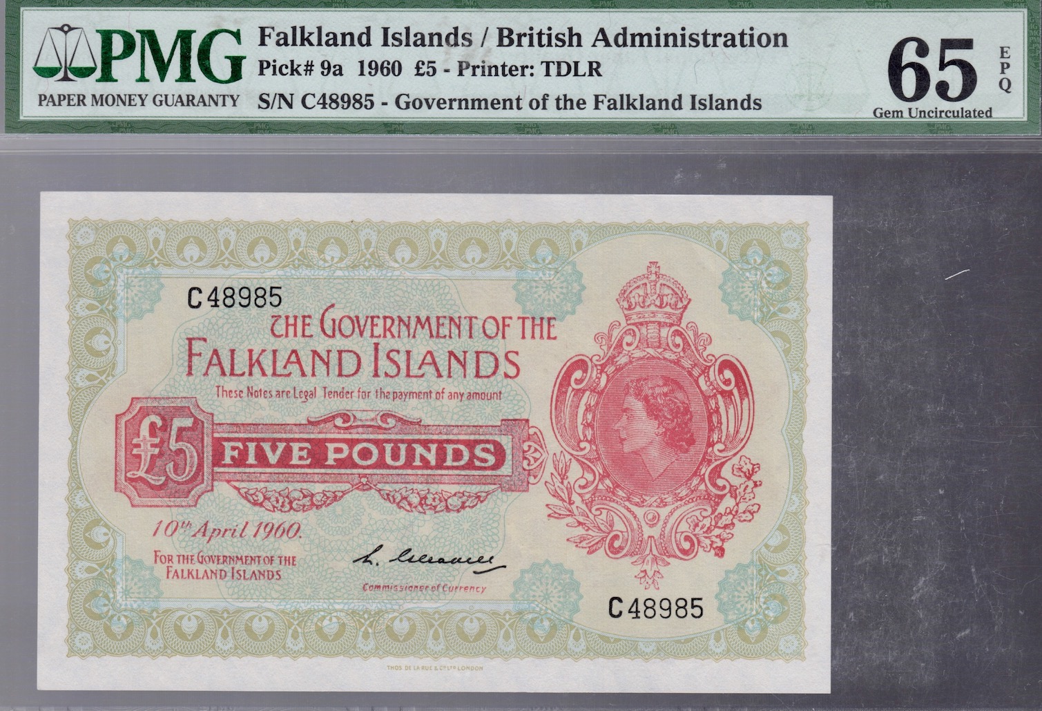 Falklands 5_P9a.jpeg