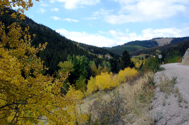 Fall colors, Marysville Rd. 2.jpg